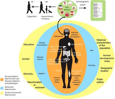 Your health is in your mouth: A comprehensive view to promote general wellness